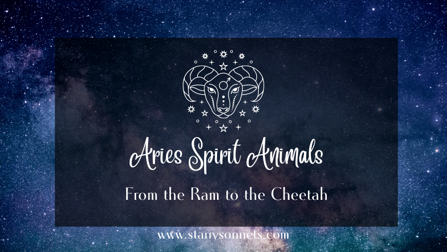 You are currently viewing What’s Your Aries Spirit Animal? From the Ram to the Cheetah