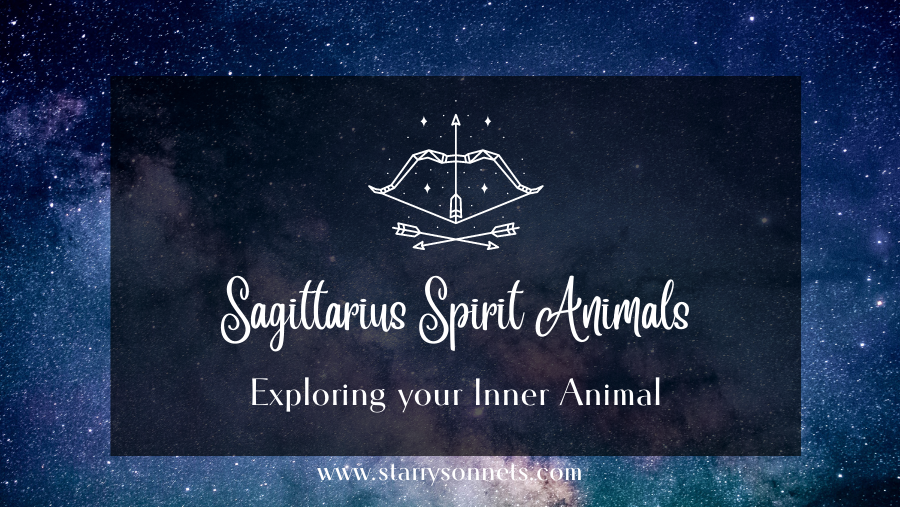 Featured image for Sagittarius Spirit Animal