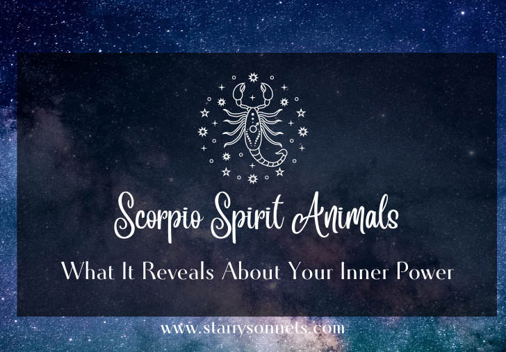Featured image for Scorpio Spirit Animal