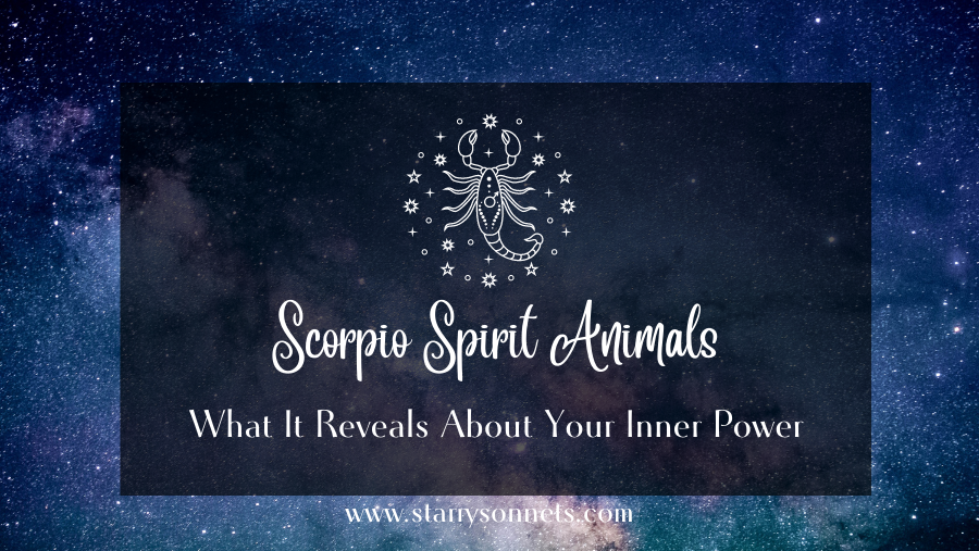 Featured image for Scorpio Spirit Animal