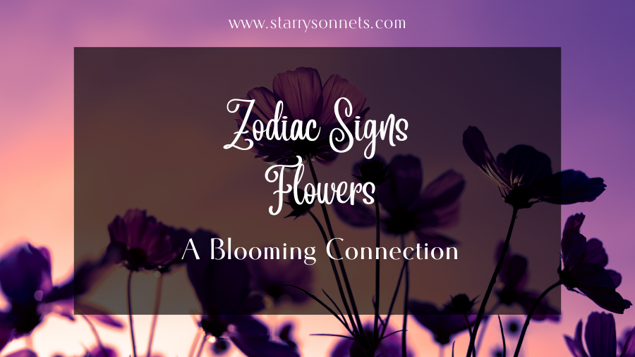 Read more about the article Zodiac Signs Flowers: 12 Blooming Connections