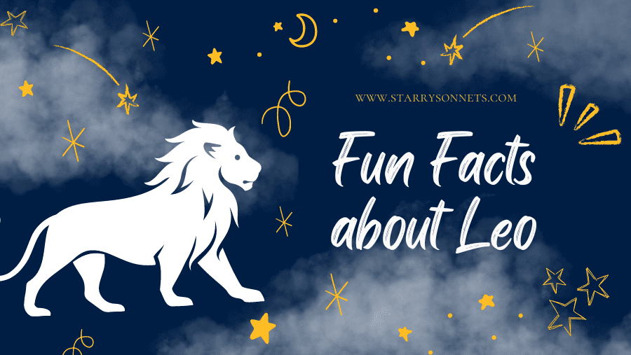 Read more about the article Fun Facts about Leo: What Makes Them Shine?