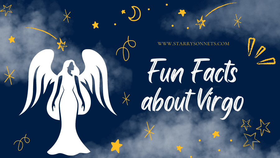 You are currently viewing Fun Facts about Virgo: The Real Reason They Love Details